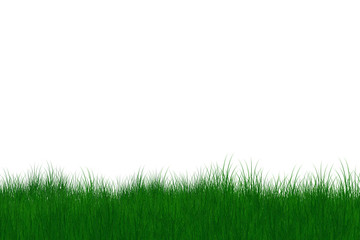 gras illustration