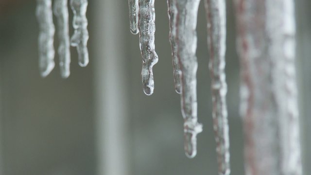 Eiszapfen Winter Tauwetter Tropfen