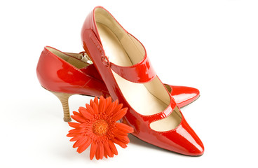 New elegant shoes on high heel