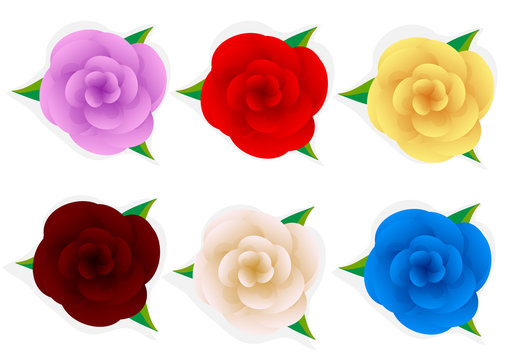 vector roses