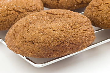 Gingersnaps