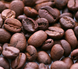 Naklejka premium Kaffeebohnen