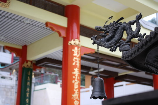 Little dragon at Fung Ying Seen Koon