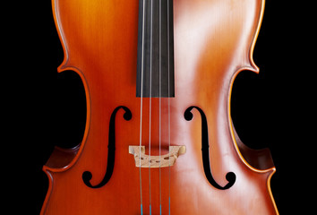 Cello closeup