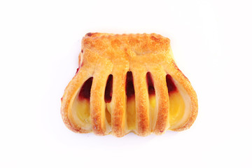 bred like shell