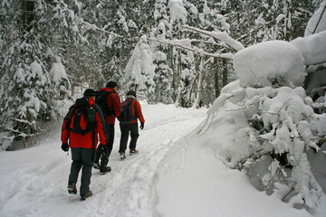 Winterwanderung