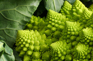 Choux Romanesque