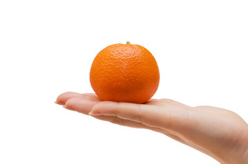 Tangerine in a female hand isolated