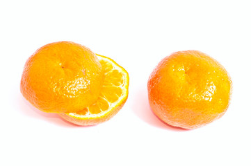 Two mandarins