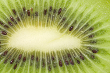 Kiwi makro