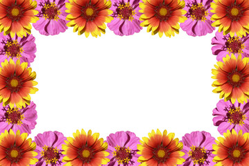 flowers frame