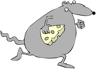 Rat Running With Cheese