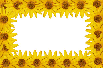 yellow flowers frame