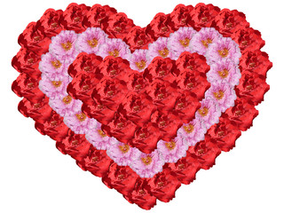 Plakat heart of flowers