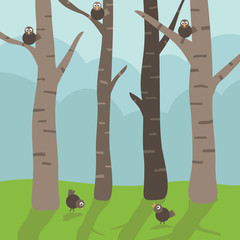 birds in the trees