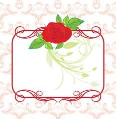 Red rose with decorative frame on the floral ornament. Vector