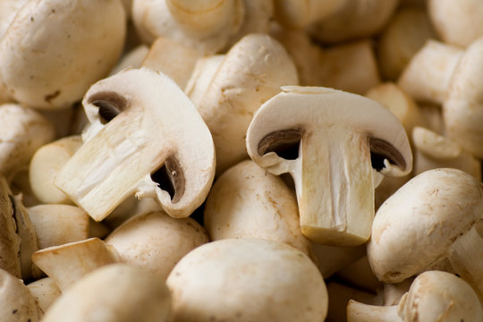 Edible mushroom