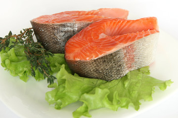 Salmon