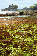 The Tanah Lot Temple, Bali, Indonesia.