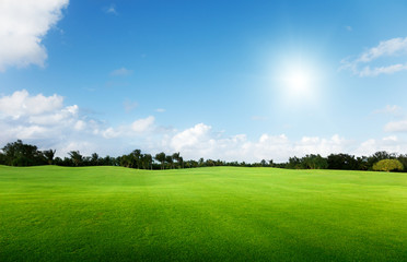 green field and trees