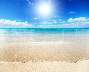 Fototapeta na wymiar Piasek z plaży morze karaibskie