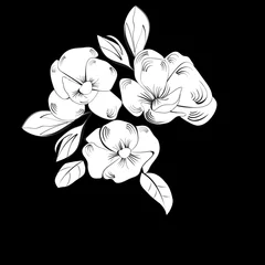 Papier Peint photo Lavable Fleurs noir et blanc Fond avec des fleurs blanches