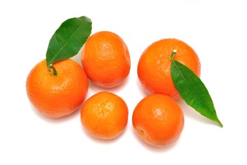 Mandarini