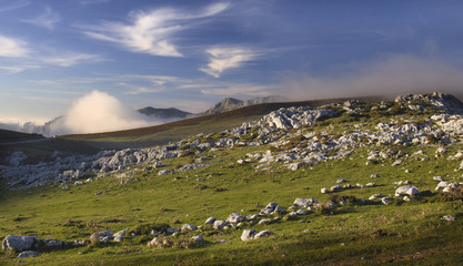Fototapeta premium Picos de Europa