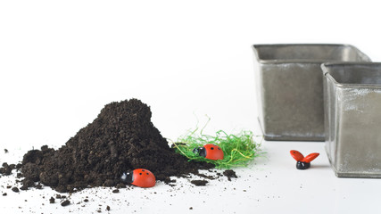 Spring time announcement