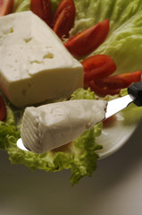 Crescenza su letto di verdure - Formaggi italiani