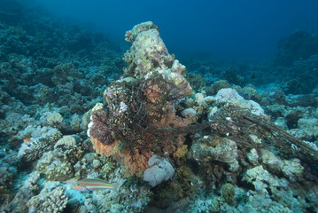 An old discarded fishing net over the coral reef.