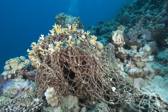 An old discarded fishing net over the coral reef.