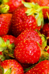 Red strawberries isolated on the white background