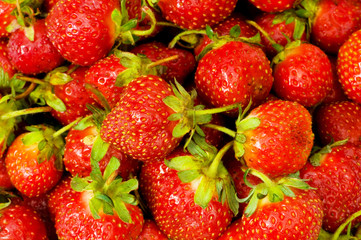 Lots of strawberries arranged as the background