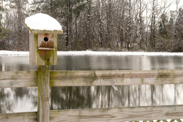 Birdhouse in the Snow