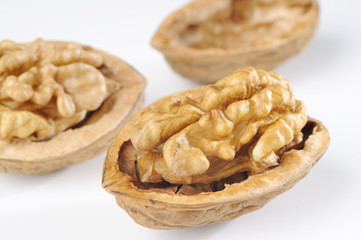 walnut close up on white background