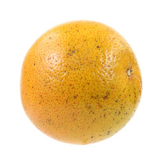 Large grapefruit