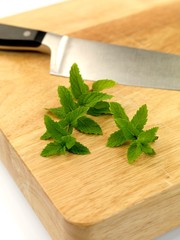 Mint Leaves
