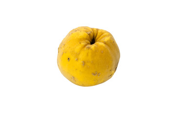 Quince on a white background