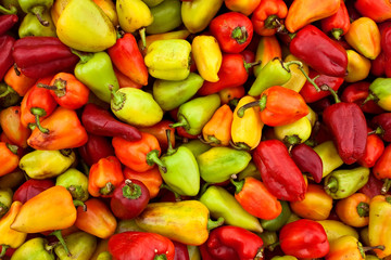 Bell pepper