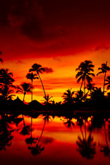 Orange sunset over palm beach near sea in summer