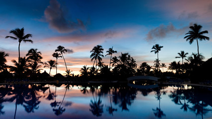 Fototapeta na wymiar Panorama palmowego plaży podczas zachodu słońca niebo