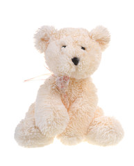 Fluffy teddy bear isolated on white background