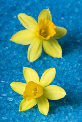 bath sea salt and spring flowers