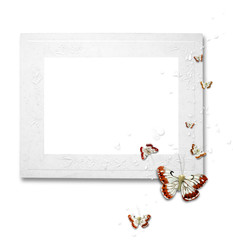white frame with butterflies