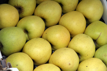 IMG_6963 pommes