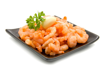 fresh orange shrimps over white background