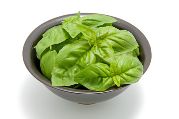 black bowl with fresh basil leaves over white background
