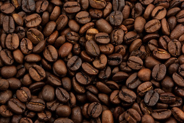 closeup coffee beans background