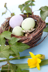 Easter eggs and daffodils